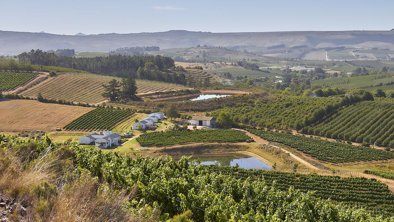 Paul Wallace Wines & Cottages Elgin  Exterior foto